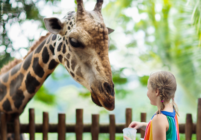 Ausflug in den Zoo Münster am 16.8.2025